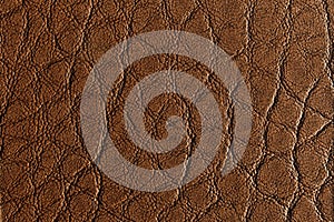 Middle brown leather texture