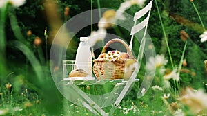 In the middle of a chamomile lawn, on a white chair is a bottle of milk, a basket of apples and bread