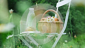 In the middle of a chamomile lawn, on a white chair is a bottle of milk, a basket of apples and bread