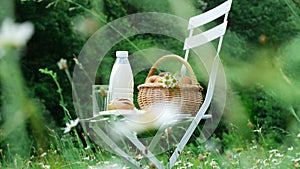 In the middle of a chamomile lawn, on a white chair is a bottle of milk, a basket of apples and bread