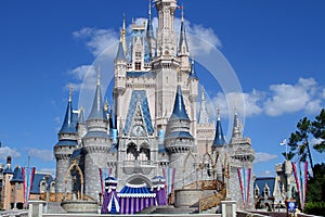 Middle Disney's Magic Castle Florida