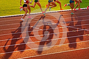 Middle Distance Race During Track and Field Event, Female Athletes on Athletics Track in Sunset light. Legs of athletes, red edit