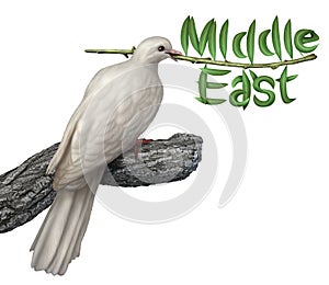 Middle East Peace Plan