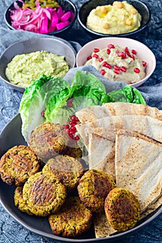 MIddle eastern platter- hummus falafel baba ghanoush photo