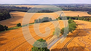 Middle european summer countryside landscape