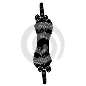 Middle finger hand sign with two hands, detailed black