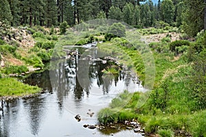 Middle Fork, Feather River