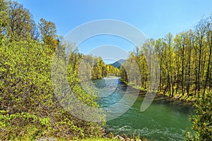 Middle Fork of the Willamette River