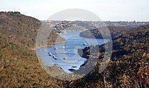 Middle Harbour from Seaforth