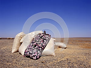 In the middle of the Jordan desert is a small farm