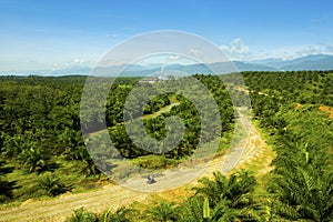 In the middle of the nature a palm oil factory at Sumatra Indonesia