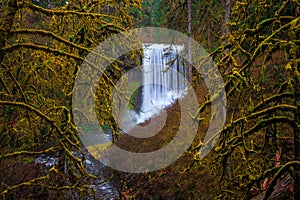 Middle North Falls View at Silver Falls State Park