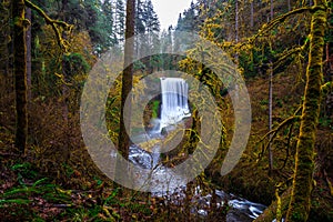 Middle North Falls View at Silver Falls State Park