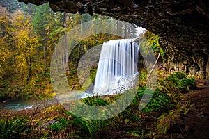 Middle North Falls View at Silver Falls State Park