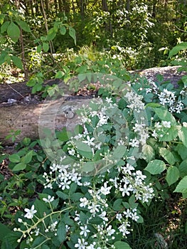 In the middle of nowhere