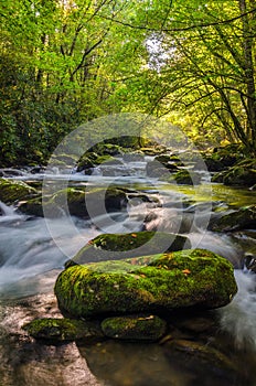 Middle Prong of the Little River, Great Smoky Mountains