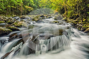 Middle Prong of the Little River, Great Smoky Mountains photo