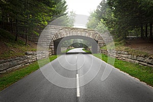 Middle of the Road Historic Stone Bridge in Acadia National Park