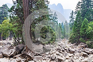 Sentinel Dome from Lower Yosemite Fall Trail photo