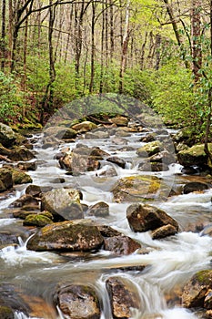 Middle Saluda River Trout Stream Upstate SC photo