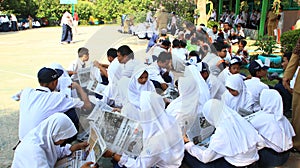 Middle school / junior high school students compactly