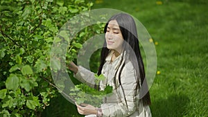Middle shot side view of smiling young Asian woman touching green leaves on tree branch sitting on squat on green lawn