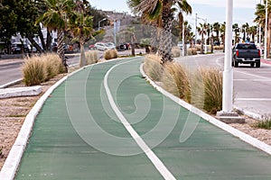 Middle strip or central reservation of avenue with bicycle lane