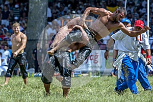 A middle weight wrestler is lifted skywards by his opponent at the Kirkpinar Turkish Oil Wrestling Festival in Edirne in Turkey.