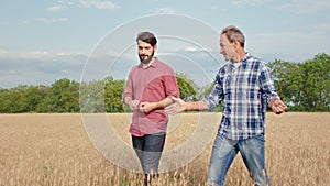 In the middle of wheat field old man farmer with his son walking agricultural farming concept in the sunny day