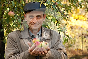 Middleaged man with apples stand near apple-tree photo