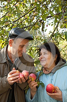 Middleaged man and woman stand with red apples