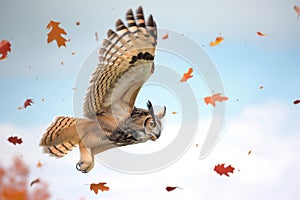 midflight owl with autumn leaves falling around it, facing the viewer photo