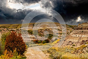 Midland Provincial Park, Alberta, Canada