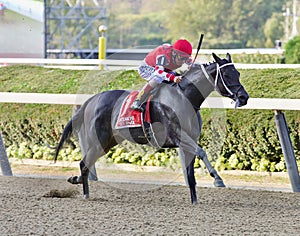 Midnight Bisou -Beldame Stakes