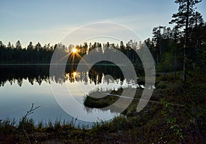 Midnight sun peeking through foliage in lapland