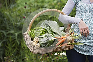 Midsection Of Cropped Woman With Vegetable Basket