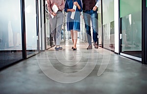 Midsection of group of business people walking in an office building.