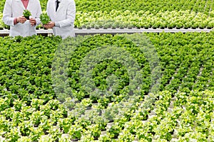 Midsection of male biochemists discussing over seedlings while standing in plant nursery