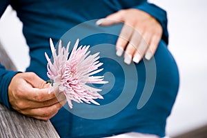 Midsection of pregnant woman holding pink flower