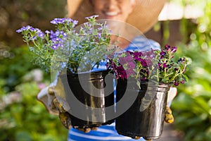 Midsection of senior woman holding flower pots