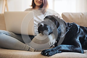 A midsection of teenage girl with a dog sitting on a sofa indoors, working on a laptop.