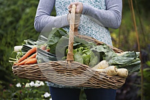 Midsection Of Woman With Vegetable Basket