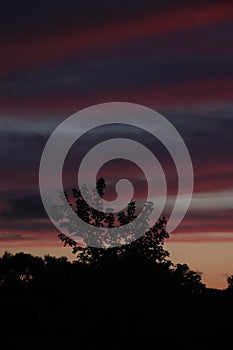 Midsummer sunset sky