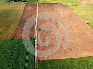 Midsummer time agriculture fields, aerial view