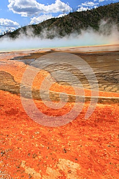 Midway Geyser Basin in Yellowstone