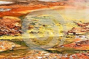 Midway Geyser Basin in Yellowstone