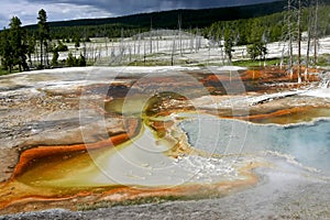 Midway Geyser Basin Yellowstone National Park