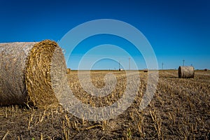 Midwest Farming