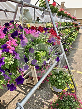 Midwest Flower Market