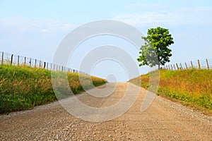Midwest Gravel Road photo